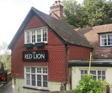 The Red Lion Hotel Betchworth Buitenkant foto