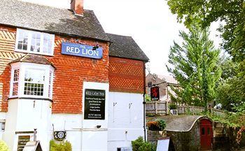 The Red Lion Hotel Betchworth Buitenkant foto